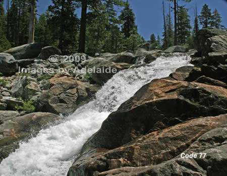 Lily Creek